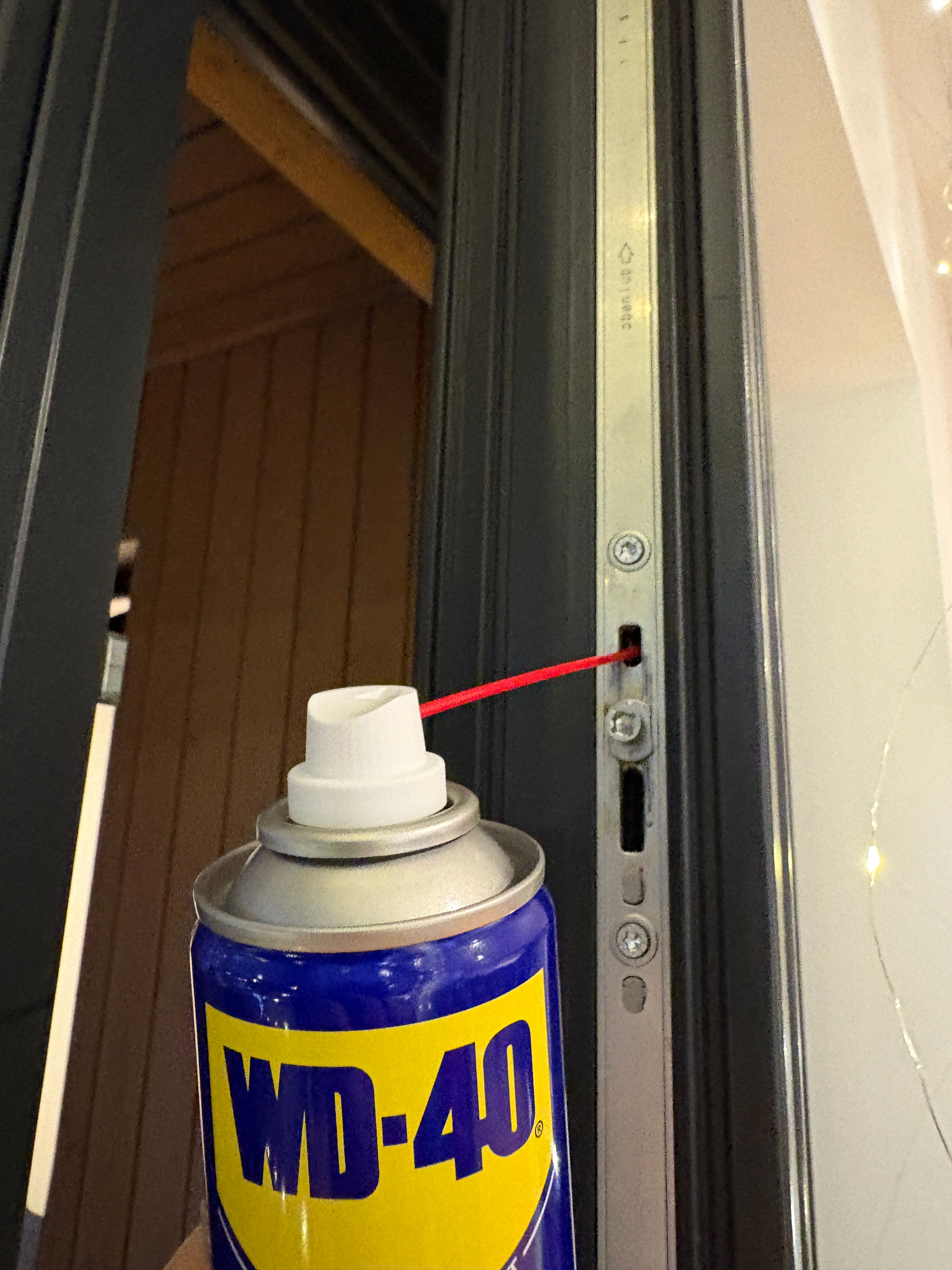 Korteri välisukse õlitamine ja lukuvahaga hooldamine + akna mehanismide õlitamine (Tallinna piires)