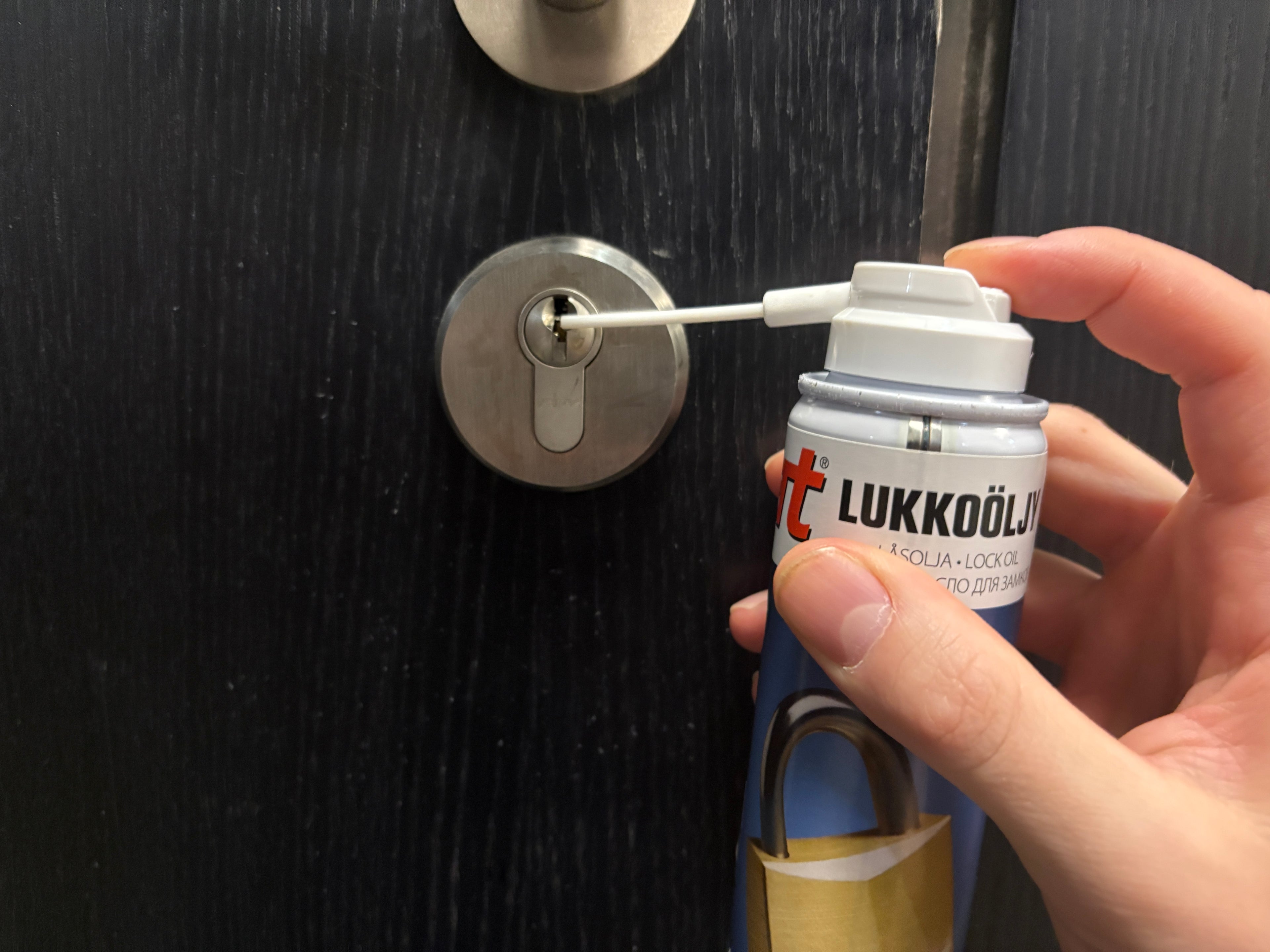 Korteri välisukse õlitamine ja lukuvahaga hooldamine + akna mehanismide õlitamine (Tallinna piires)